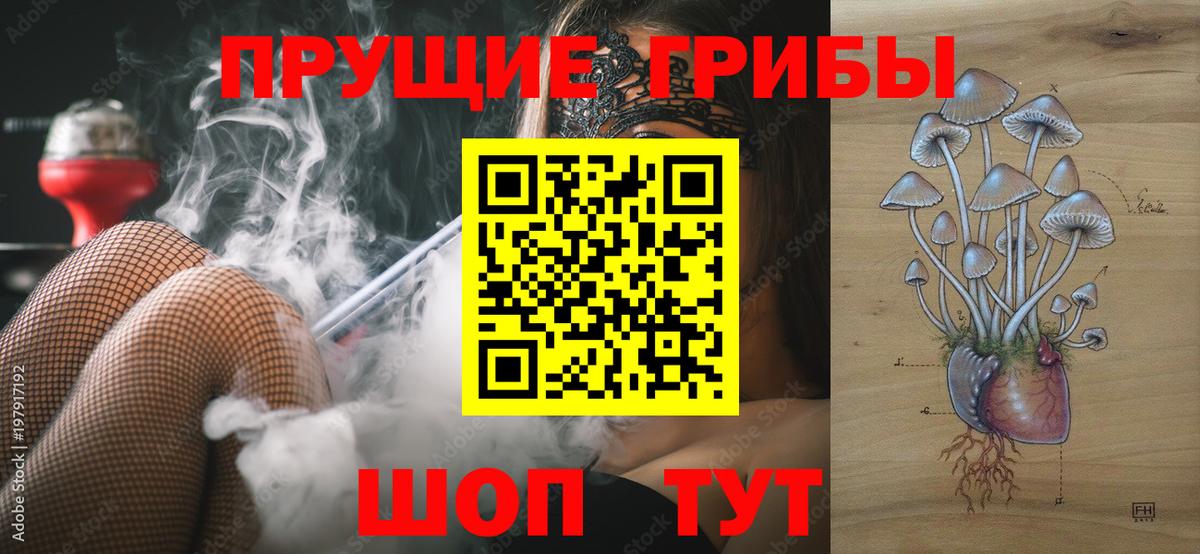 Луга  наркота  Вход с VPN  Псилоцибиновые грибы Psilocybe 